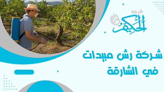 شركة رش مبيدات في الشارقة