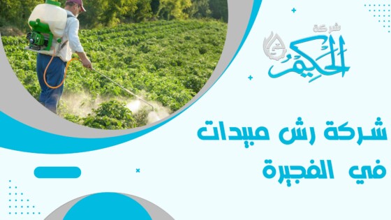 شركة رش مبيدات في الفجيرة