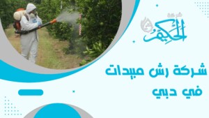 شركة رش مبيدات في دبي