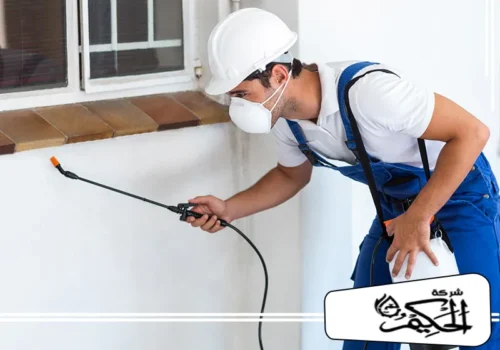 أرخص شركة مكافحة حشرات في عجمان 0547842313 في عجمان رش مبيدات للمنازل يستهدف زوايا الجدران وممرات الحشرات داخل المكان