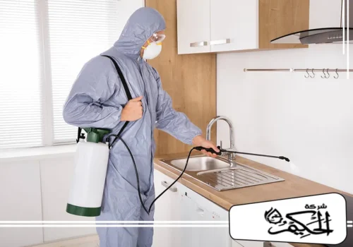 أرخص شركة مكافحة حشرات في ابو ظبي 0547842313 شركة الحكيم تعالج شركة مكافحة حشرات أماكن تجمع الحشرات حول أحواض المطبخ بدقة
