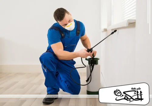 خطوات شركة مكافحة حشرات 0547842313 في عجمان شركة مكافحة حشرات تنفذ رشًا دقيقًا حول النوافذ لمنع انتشار الحشرات داخل المكان