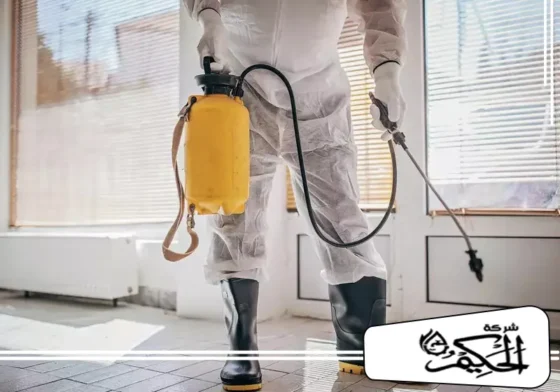 شركة مكافحة حشرات في رأس الخيمة