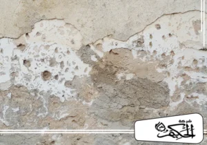 معالجة رطوبة الجدران في الإمارات