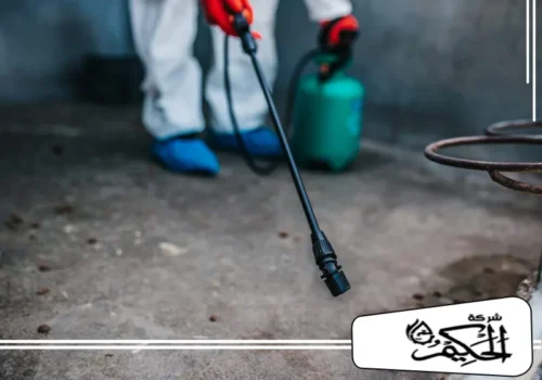 مكافحة النمل الأبيض في الفجيرة