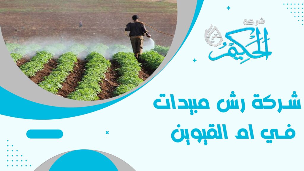 شركة رش مبيدات في ام القيوين