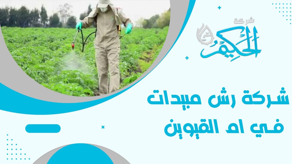 شركة رش مبيدات في ام القيوين